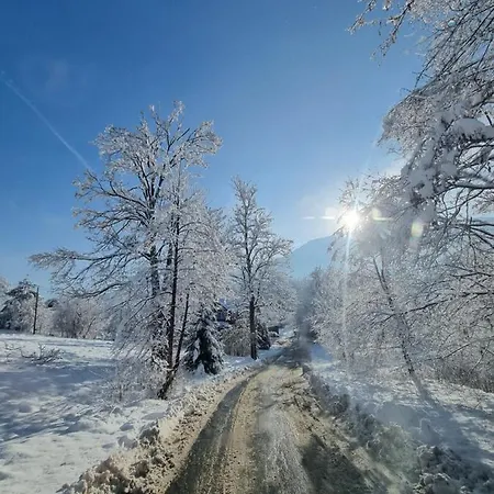 Karpielówka 77 Gościnne